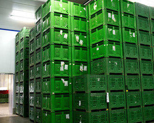 Frozen Food Cold Storage Room Manufacturers in Chennai